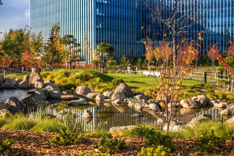 A serene pond on a corporate campus that is monitored using IoT landscaping technology.